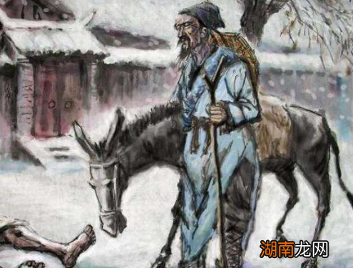 杜甫不仅写诗出名,历史上的他还精通种药、制药