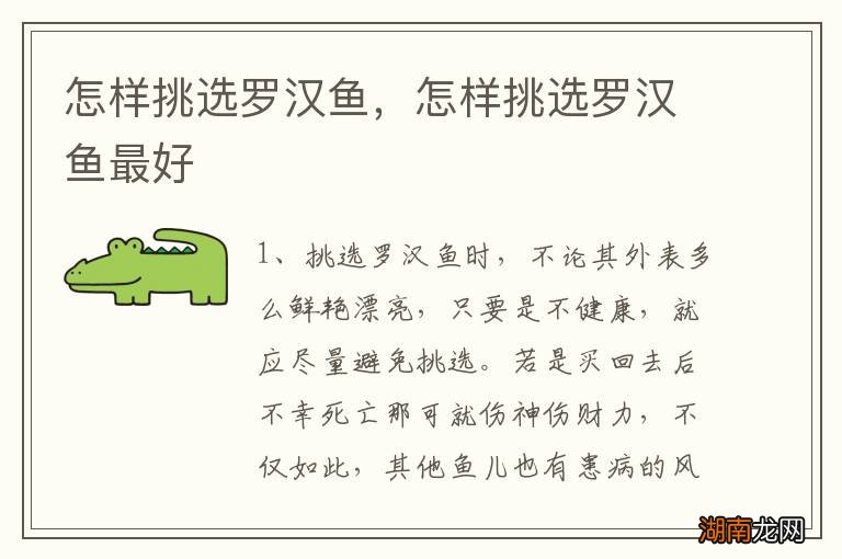 怎样挑选罗汉鱼,怎样挑选罗汉鱼最好