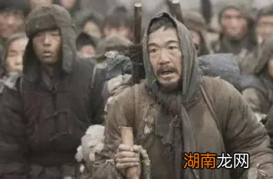 古代蝗灾共有八百多起 古人为什么不抓蝗虫来吃