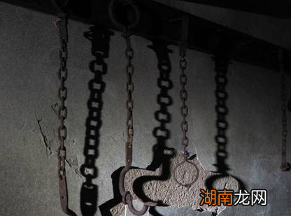 都说乱世很可怕 那你知道盛世下的可怕又是什么样的