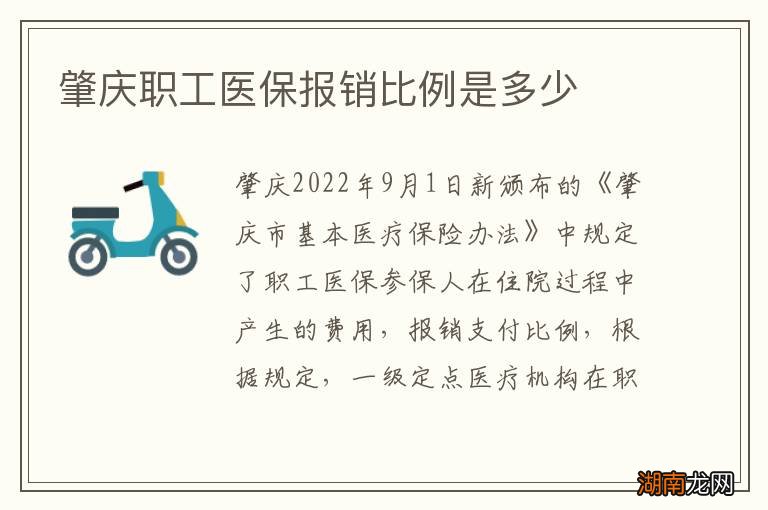 肇庆职工医保报销比例是多少