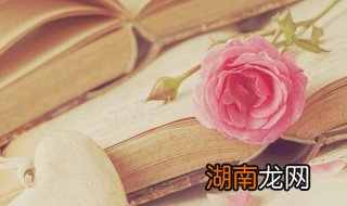 外经证是什么意思 外经证解释