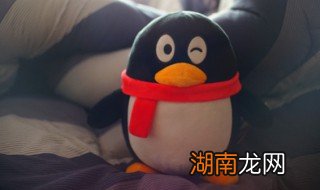 最新版qq怎么发闪照视频 最新版qq怎么发闪照