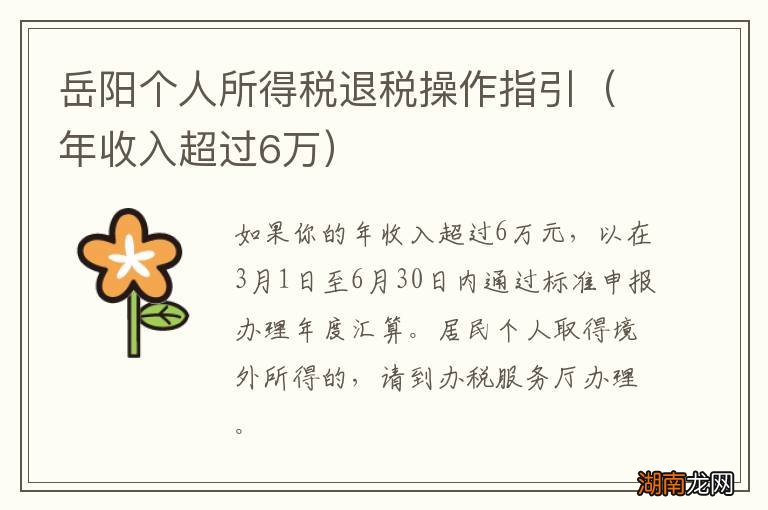 年收入超过6万 岳阳个人所得税退税操作指引