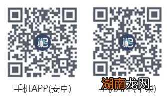 新湘事成怎么查个人档案？