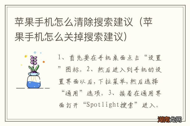 苹果手机怎么关掉搜索建议 苹果手机怎么清除搜索建议