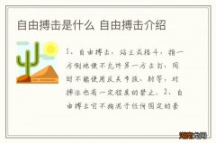 自由搏击是什么 自由搏击介绍