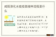 咸阳淳化水痘疫苗接种流程是什么