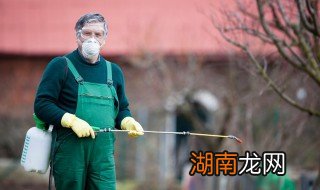 家里怎么防蛇 居家防蛇技巧