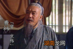 如果费祎没有被刺杀，蜀汉有没有可能不被灭国呢？