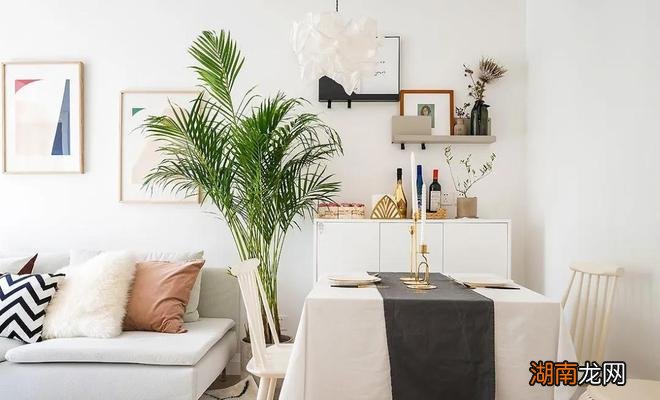 52岁阿姨买下61㎡一楼住宅独居，装修那叫一个高级大气，让人羡慕