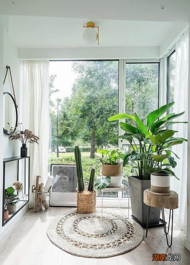 52岁阿姨买下61㎡一楼住宅独居，装修那叫一个高级大气，让人羡慕