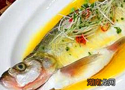 官员请朱元璋吃鱼 朱元璋为什么会勃然大怒