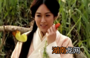 身为蜀汉将领的张飞到底是如何娶上夏侯家的女儿呢？