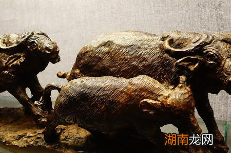 唐朝时期的牛到底有多重要 统治者指定了多种措施以保护耕牛