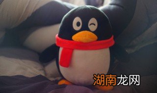 qq上面的同城服务 qq上同城服务怎么发布