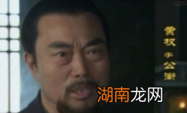 除了诸葛亮,蜀汉还有哪些能堪当大任的谋士?