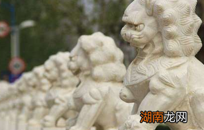 古代狮子不是中国土生土上的 狮子为何还如此受欢迎