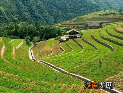 汉朝时期的百姓生活是什么样的 百姓都吃些什么