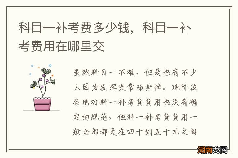 科目一补考费多少钱，科目一补考费用在哪里交