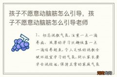 孩子不愿意动脑筋怎么引导，孩子不愿意动脑筋怎么引导老师