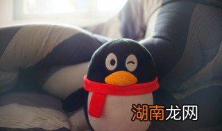 qq邮箱怎么填,qq邮箱怎么填写