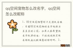 qq空间宠物怎么改名字，qq空间怎么改昵称