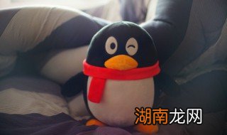 QQ句有料是什么 qq句有料怎么开