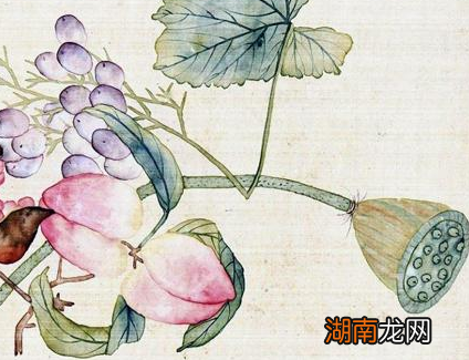 俗话说商女不知亡国恨 这个商女到底是什么人