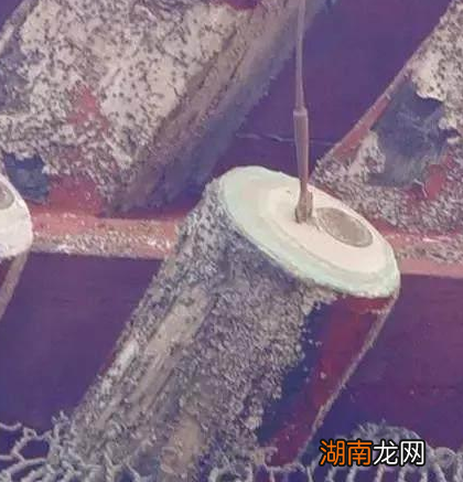 故宫匾额上面为什么有一支箭头 这支箭的背后有什么故事