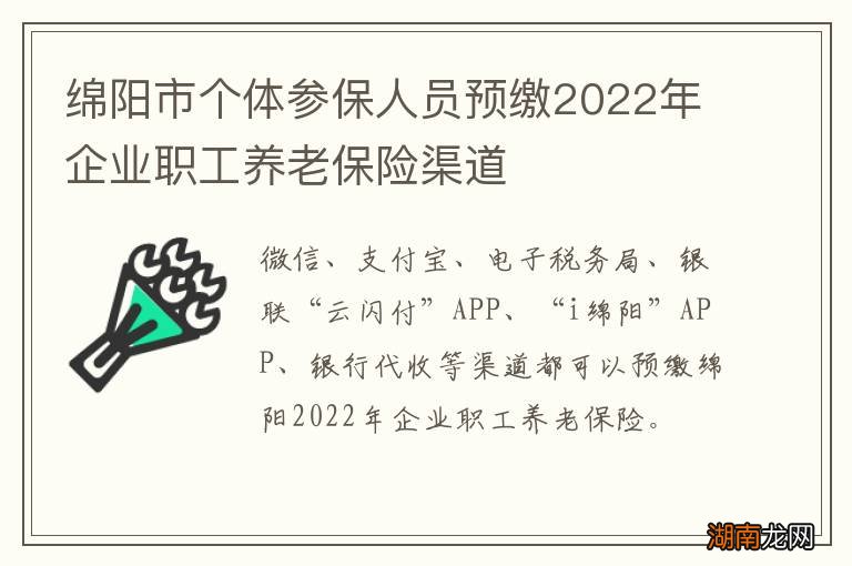 绵阳市个体参保人员预缴2022年企业职工养老保险渠道