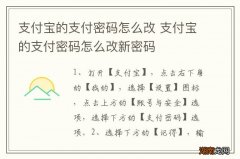 支付宝的支付密码怎么改 支付宝的支付密码怎么改新密码