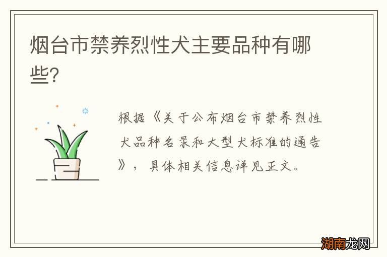 烟台市禁养烈性犬主要品种有哪些?