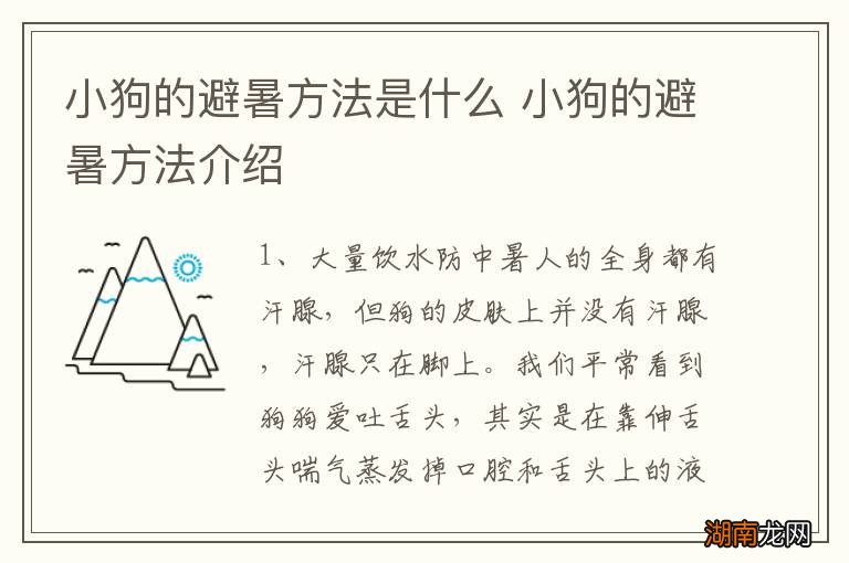 小狗的避暑方法是什么 小狗的避暑方法介绍