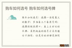 购车如何选号 购车如何选号牌