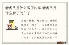 老虎头是什么牌子的车 老虎头是什么牌子的车子