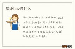 咸阳hpv是什么