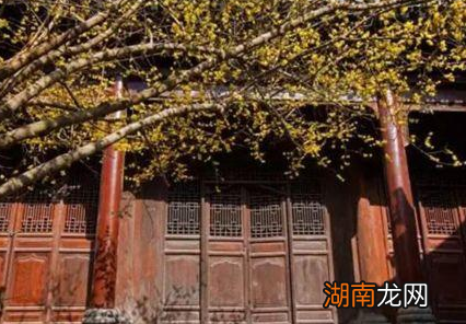 古代没有钢筋水泥 城墙为什么能几百年不倒