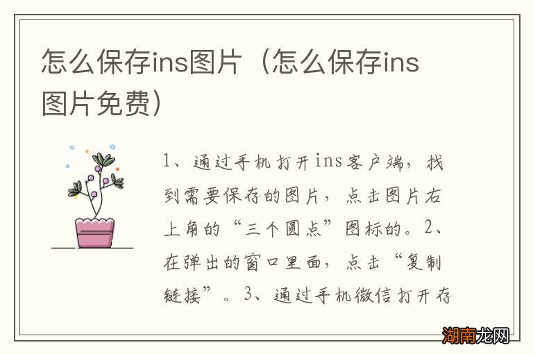 怎么保存ins图片免费 怎么保存ins图片