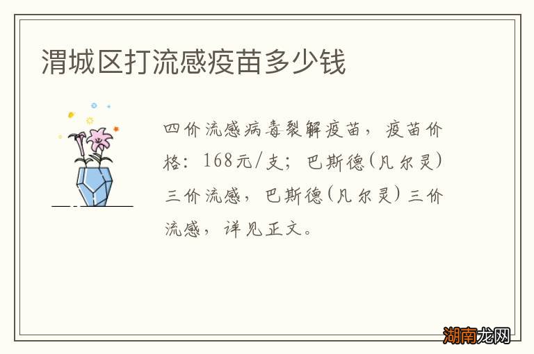 渭城区打流感疫苗多少钱