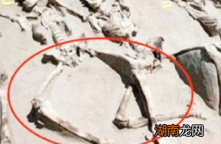 古代殉葬的妃子双腿为什么都是打开的 妃子为什么不都反抗就陪葬了