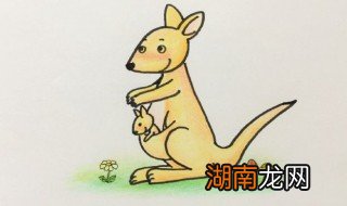 袋鼠怎么画 袋鼠简笔画教程