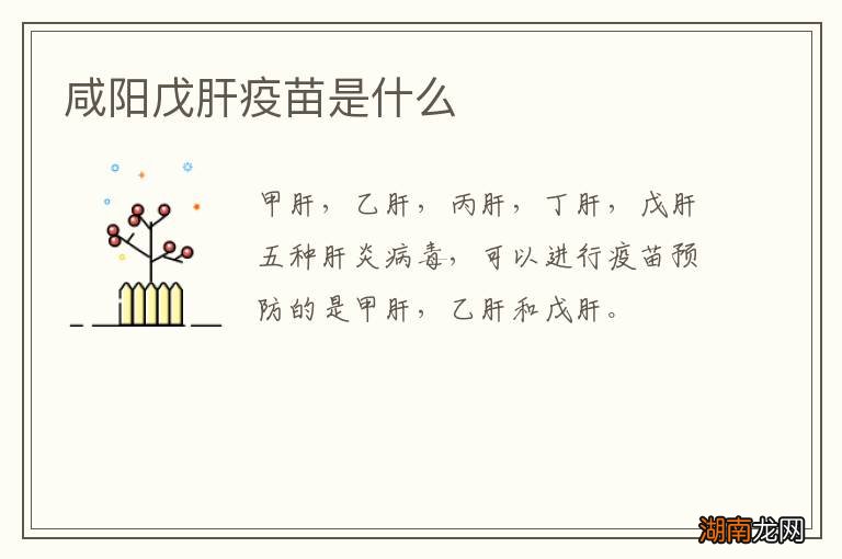 咸阳戊肝疫苗是什么