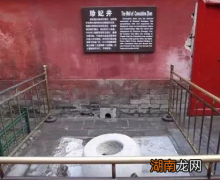 珍妃死的真的不怨吗 珍妃自作孽的证据都有哪些