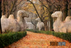 朱祁镇为什么会废除殉葬制度 这和钱皇后有没有关系