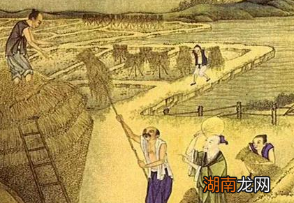 元朝灭亡为什么和货币制度有关 真相到底是什么样的