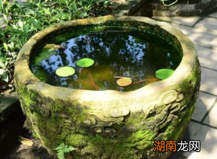 古代大户人家院子为什么要放一口水缸 实际意义远比风水上大的多