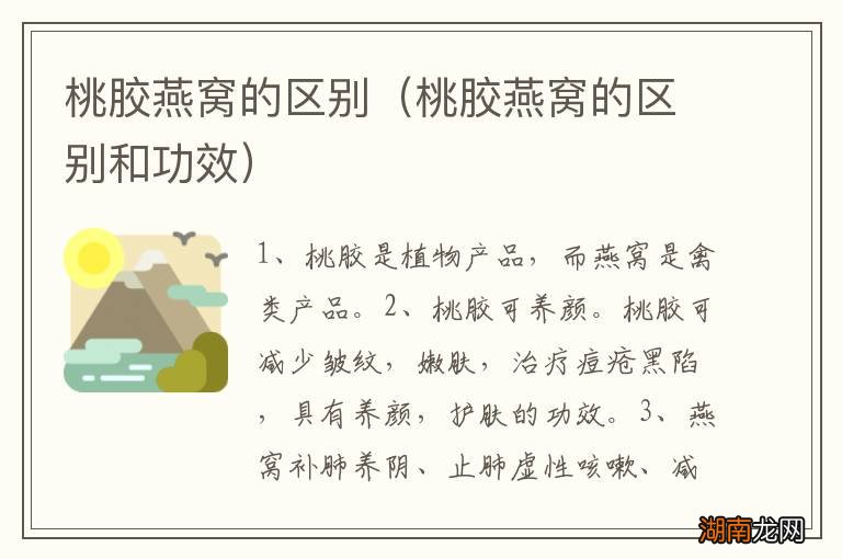 桃胶燕窝的区别和功效 桃胶燕窝的区别