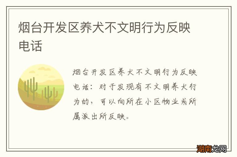 烟台开发区养犬不文明行为反映电话