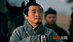 与卧龙凤雏齐名的三国大佬，最后结局如何？